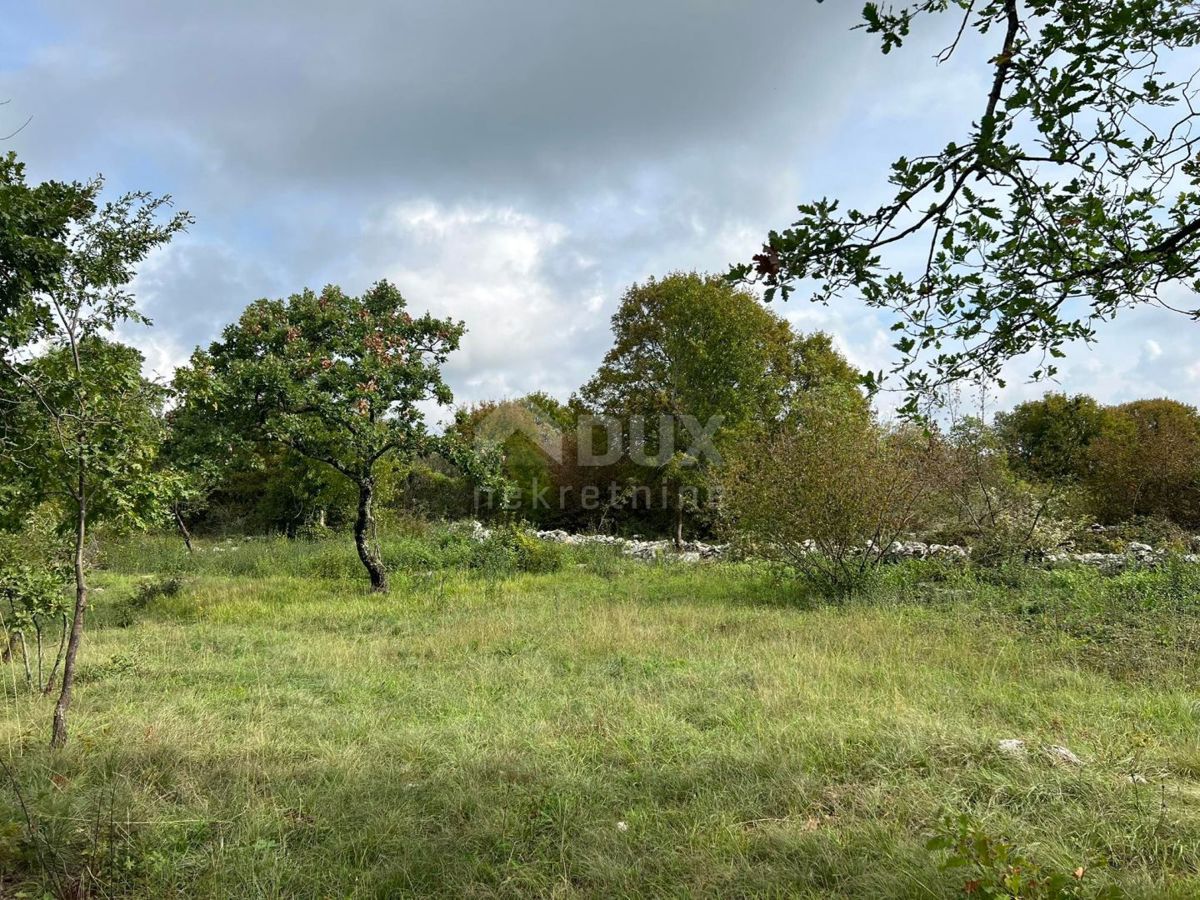 ISTRA, BARBAN - Posestvo z dvema objektoma za obnovo