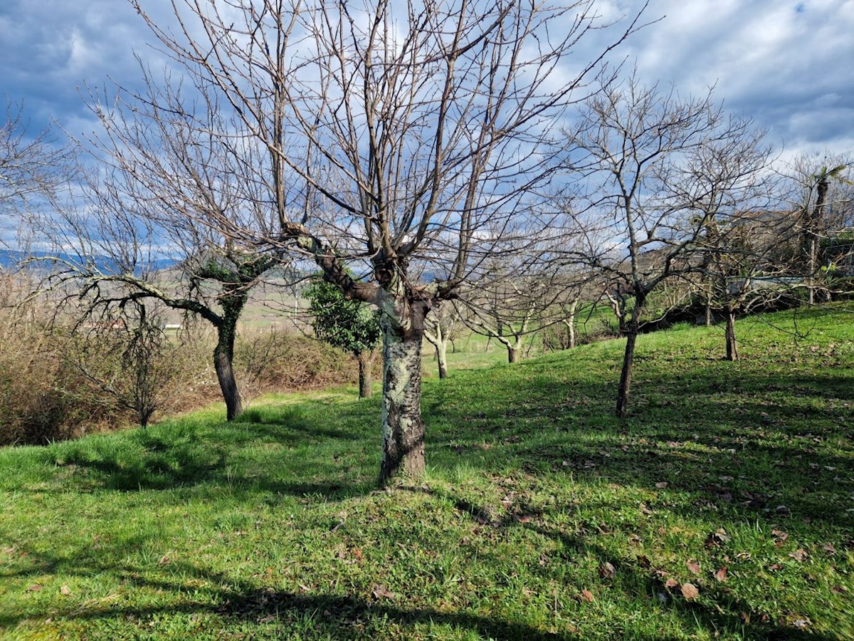 ISTRA, MOTOVUN - Zemljišče z impresivnim razgledom