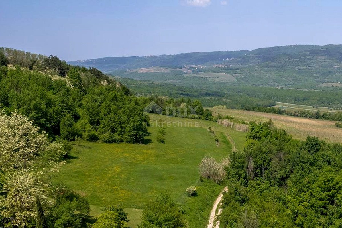 ISTRA, MOTOVUN - Zemljišče z impresivnim razgledom