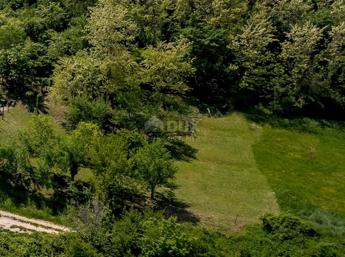 ISTRA, MOTOVUN - Zemljišče z impresivnim razgledom