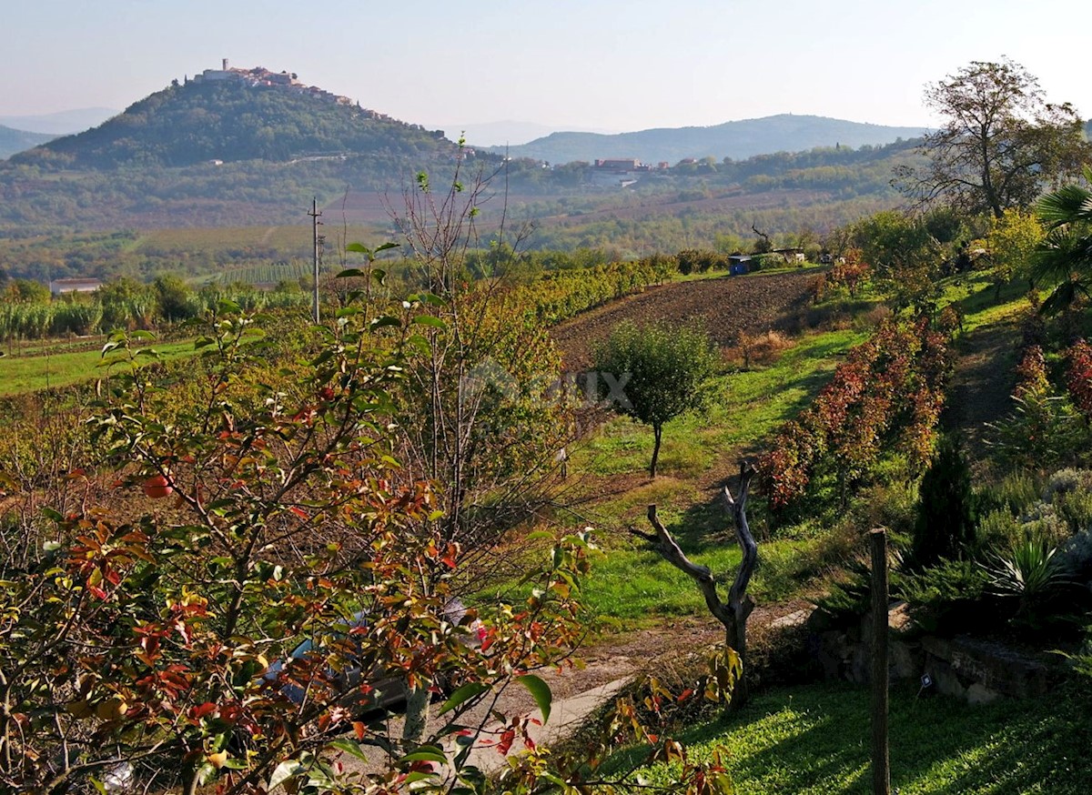 ISTRA, MOTOVUN - Zemljišče z impresivnim razgledom