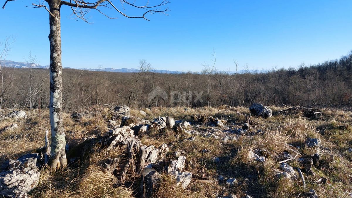 RIJEKA, BREZA - zazidljivo zemljišče z gradbenim dovoljenjem za ekskluzivno kanadsko brunarico z bazenom!!! PRILOŽNOST!!!