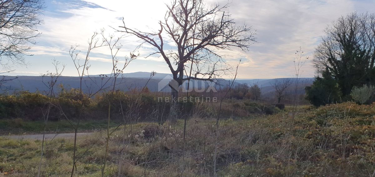 ISTRA, BARBAN - Zemljišče z veljavnim dovoljenjem in plačano komunalo, lep razgled