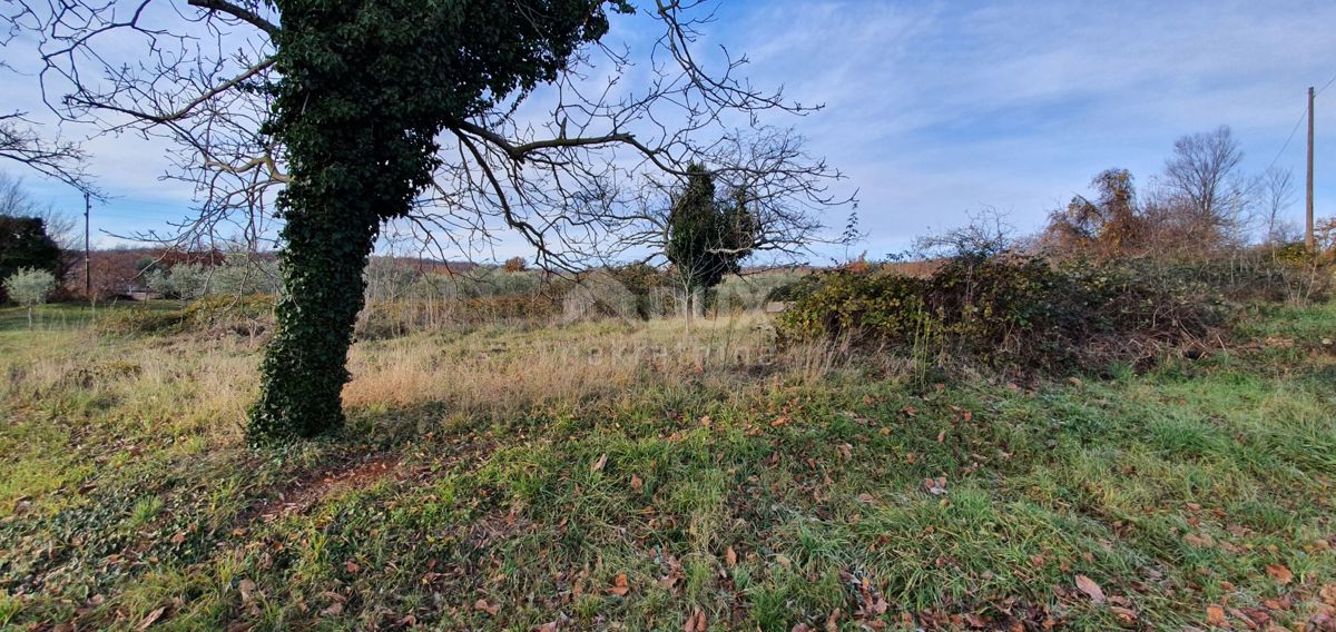 ISTRA, BARBAN - Zemljišče z veljavnim dovoljenjem in plačano komunalo, lep razgled