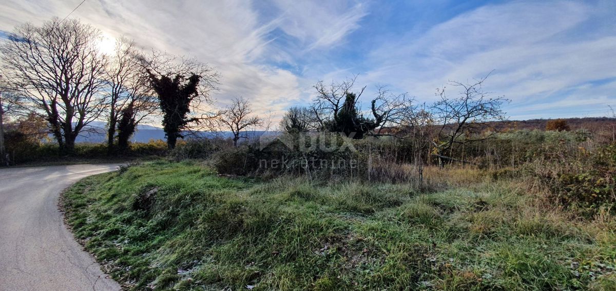 ISTRA, BARBAN - Zemljišče z veljavnim dovoljenjem in plačano komunalo, lep razgled