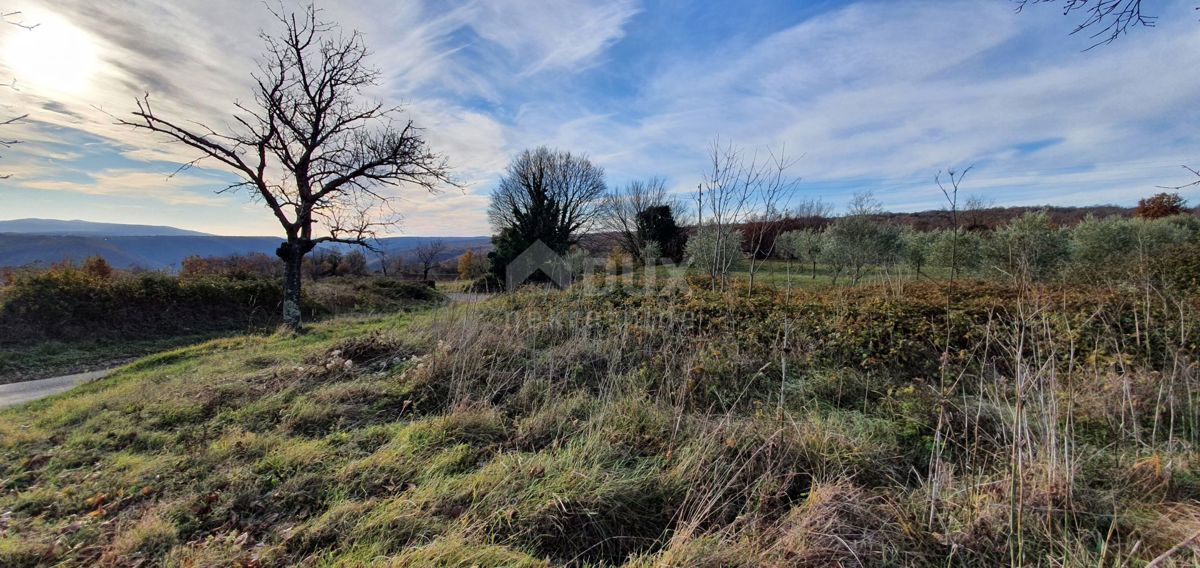 ISTRA, BARBAN - Zemljišče z veljavnim dovoljenjem in plačano komunalo, lep razgled