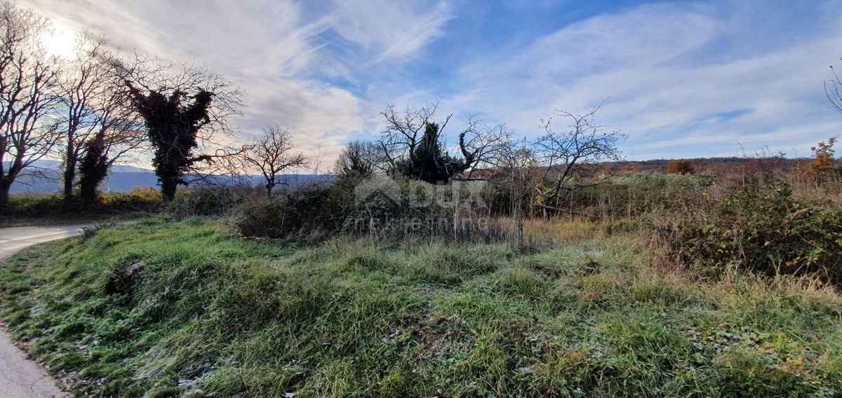 ISTRA, BARBAN - Zemljišče z veljavnim dovoljenjem in plačano komunalo, lep razgled