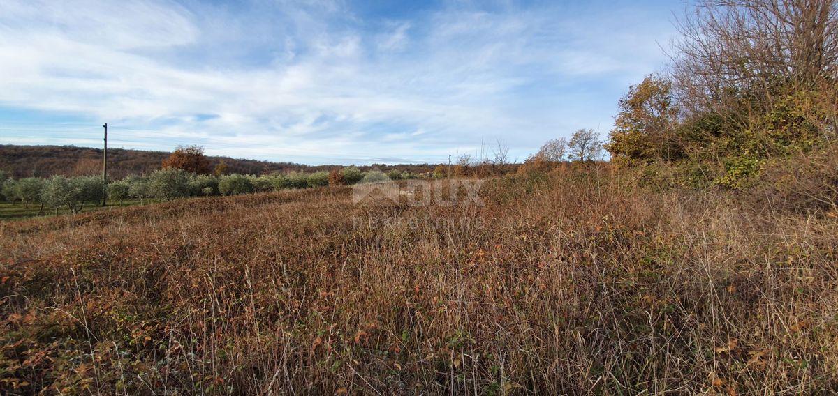 ISTRA, BARBAN - Zemljišče z veljavnim dovoljenjem in plačano komunalo, lep razgled