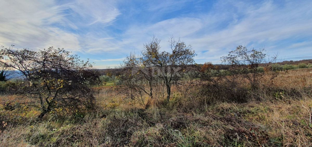 ISTRA, BARBAN - Zemljišče z veljavnim dovoljenjem in plačano komunalo, lep razgled