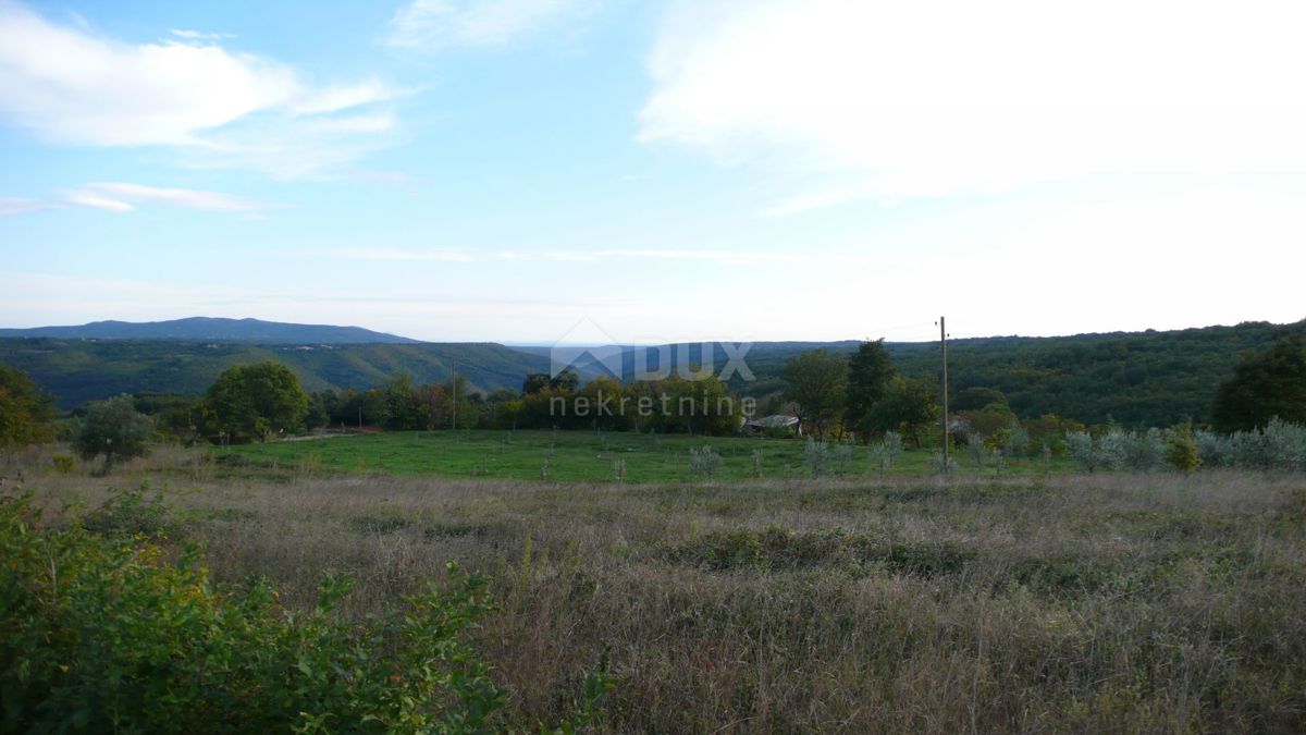 ISTRA, BARBAN - Zemljišče z veljavnim dovoljenjem in plačano komunalo, lep razgled