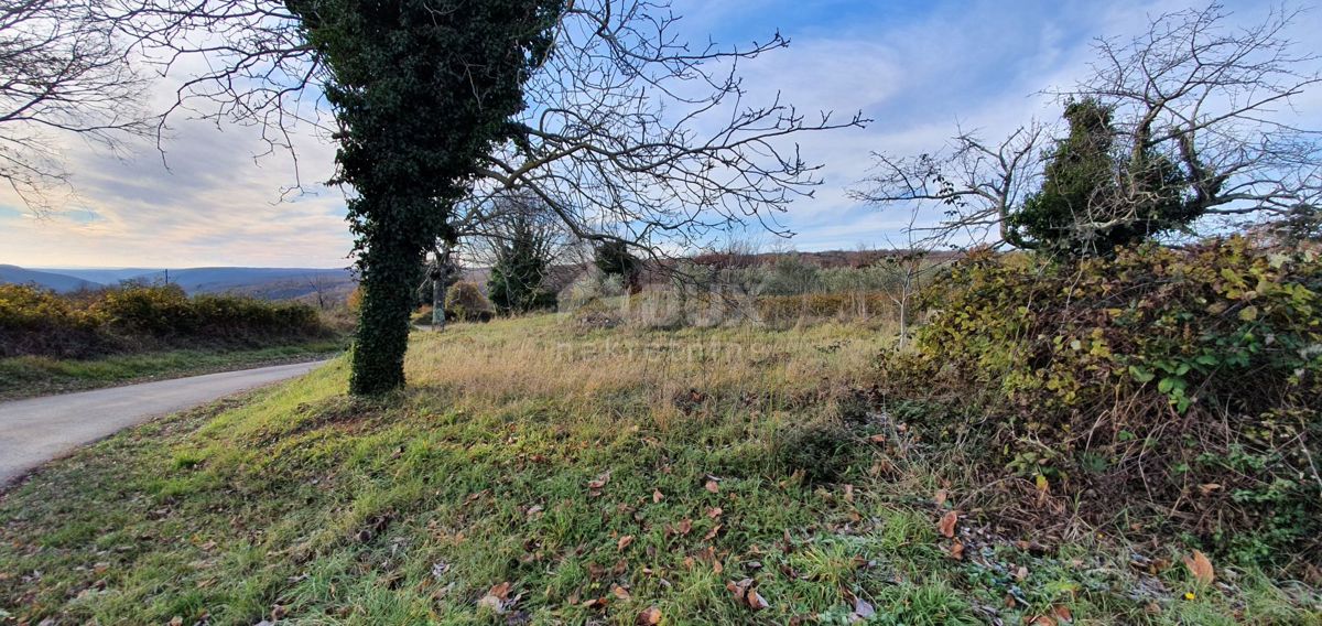 ISTRA, BARBAN - Zemljišče z veljavnim dovoljenjem in plačano komunalo, lep razgled