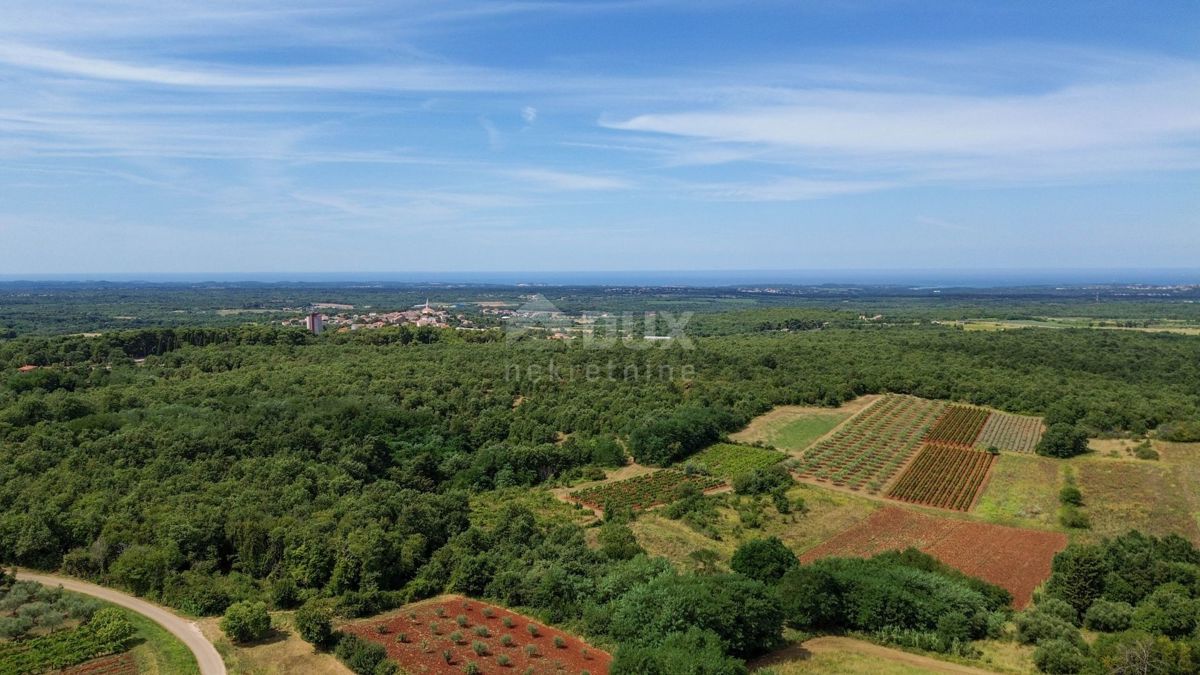 ISTRA, VIŠNJAN - Kamnita lepotica s panoramskim pogledom na morje