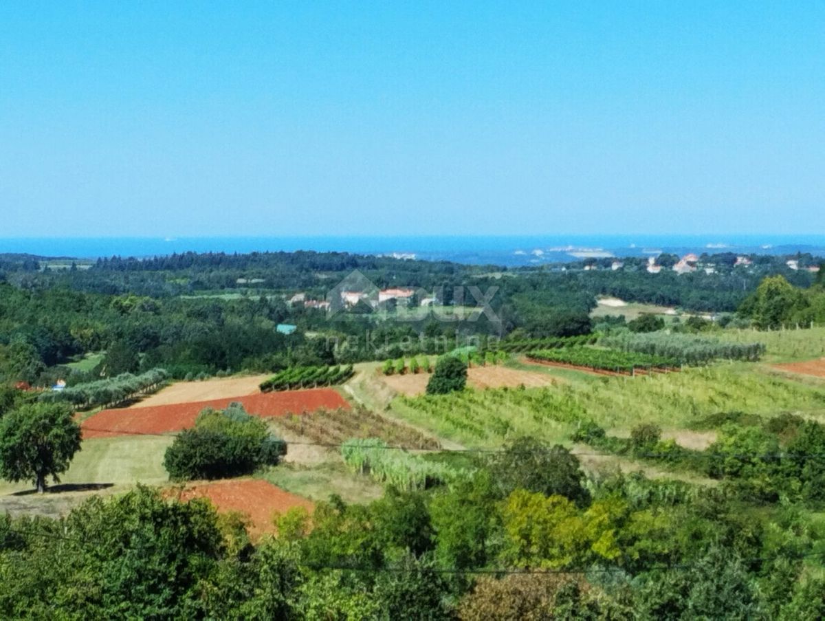 ISTRA, VIŽINADA - Luksuzna vila z neskončnim bazenom