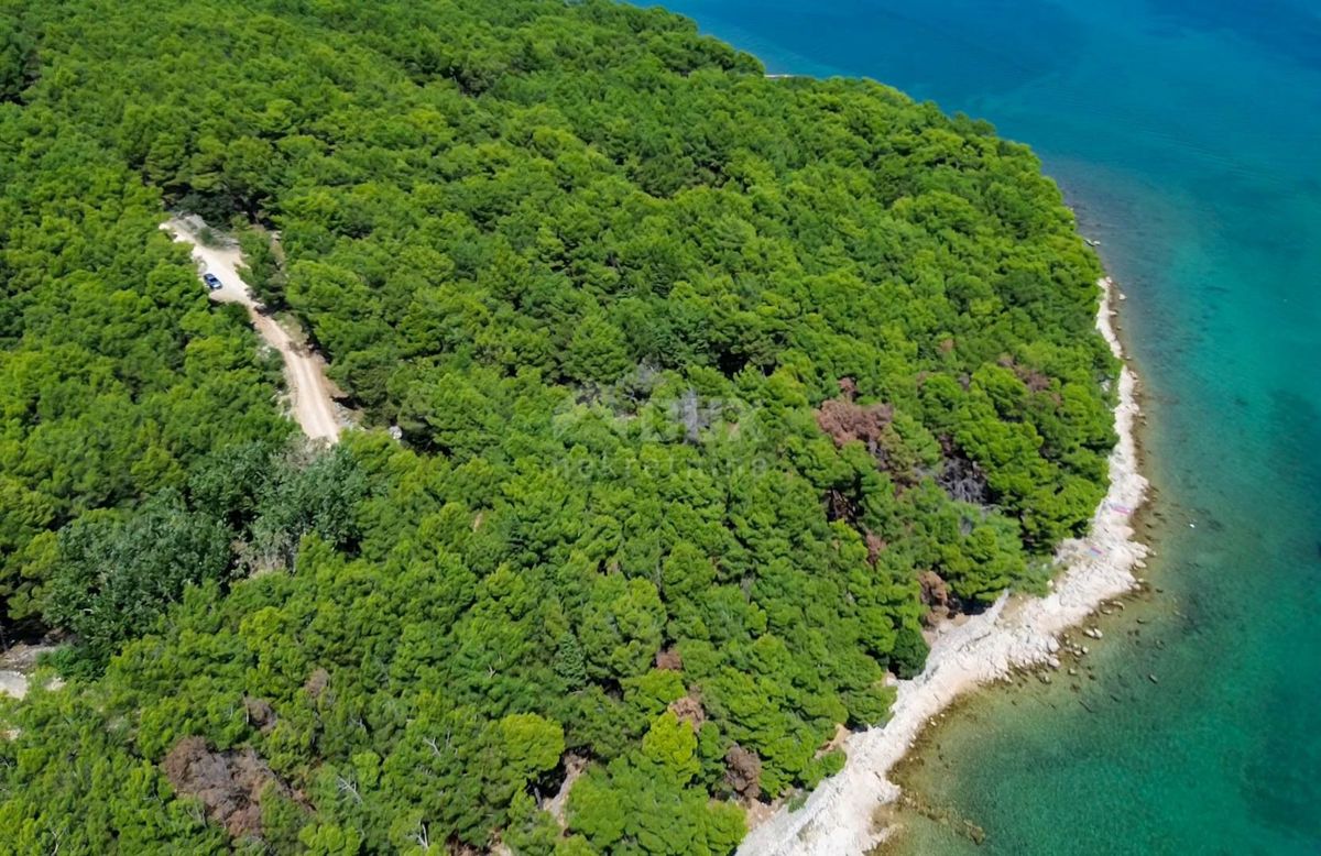 OTOK KRK, MESTO KRK (okolica) - MASLINIK, 1400 m2, s pomožnim objektom, le 150 metrov od morja, redkost v ponudbi, enkratna priložnost, znižano!!!