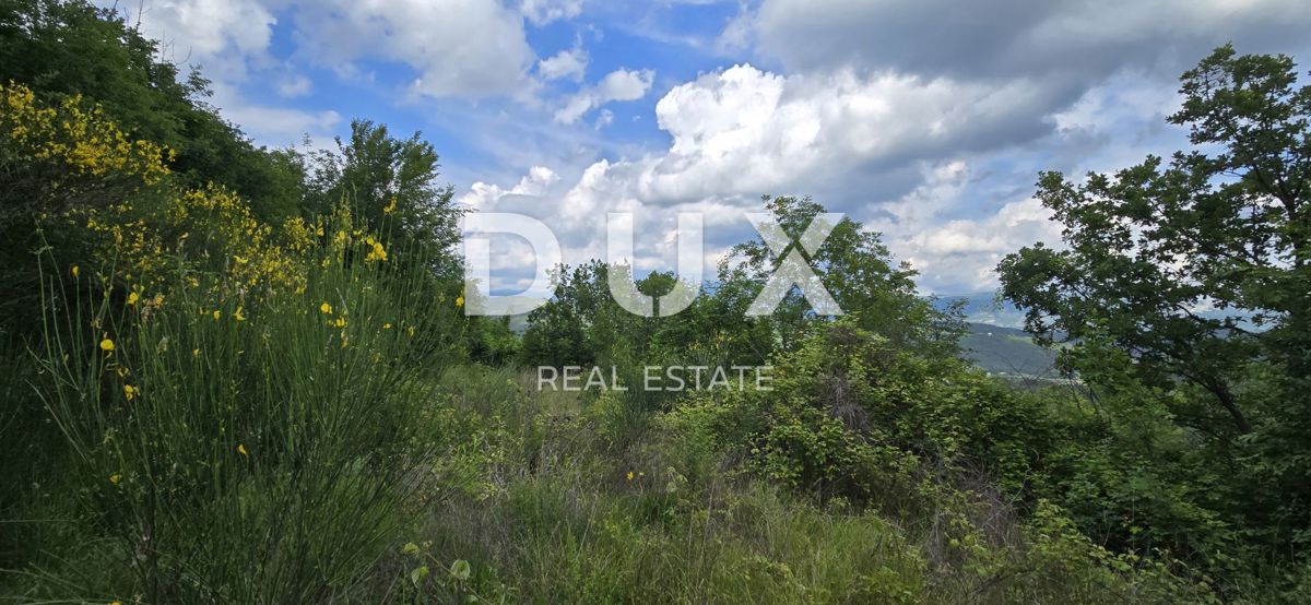 ISTRA, GRAČIŠĆE - Gradbeni in kmetijski kompleks s spektakularnim razgledom