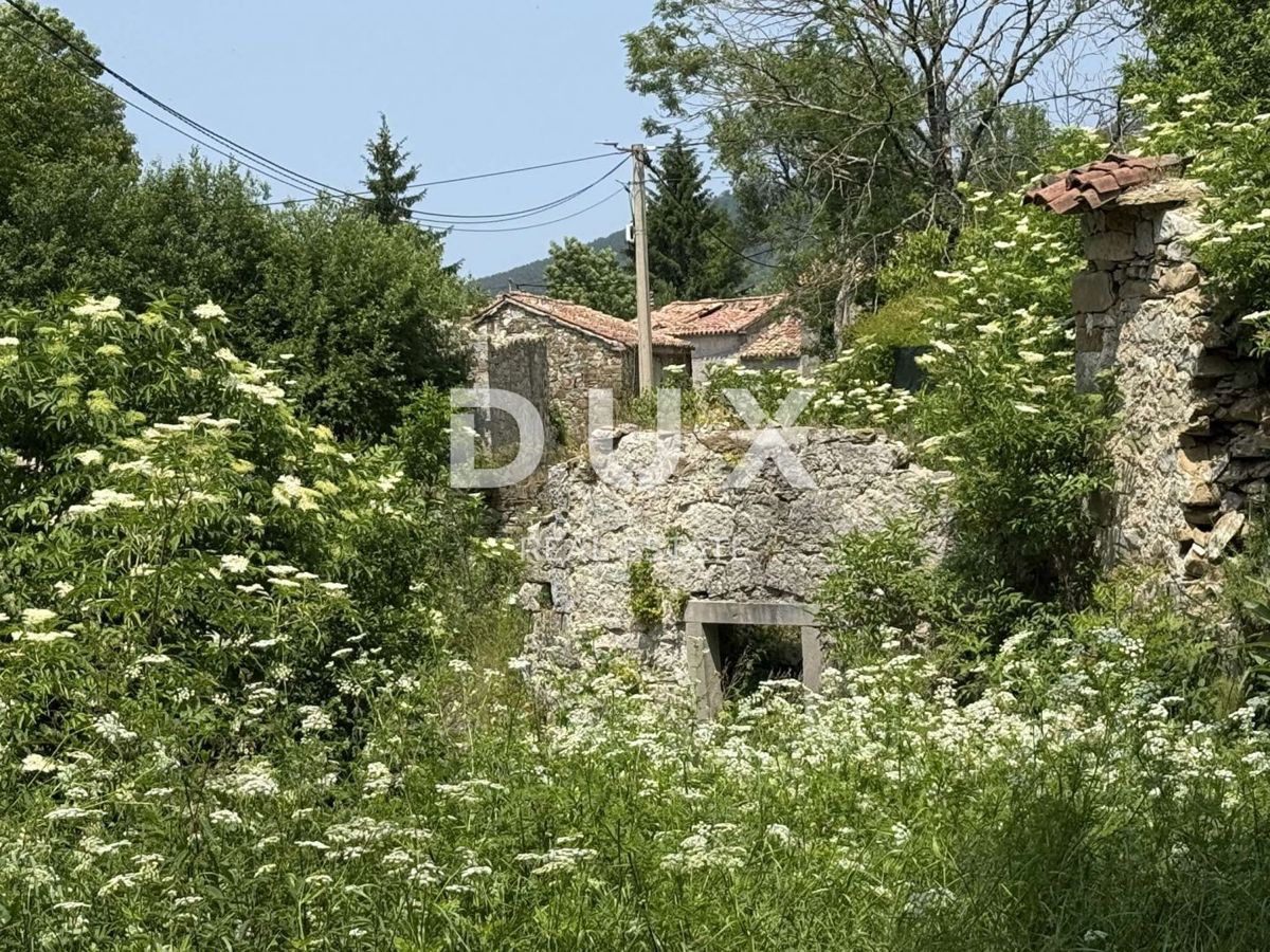ISTRA, LANIŠĆE - Kamnita ruševina na mirni lokaciji