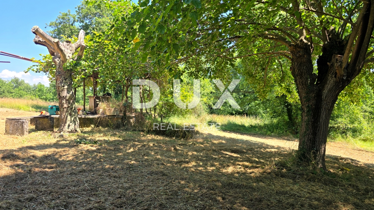 ISTRA, VIŽINADA - Prostorno avtentično posestvo