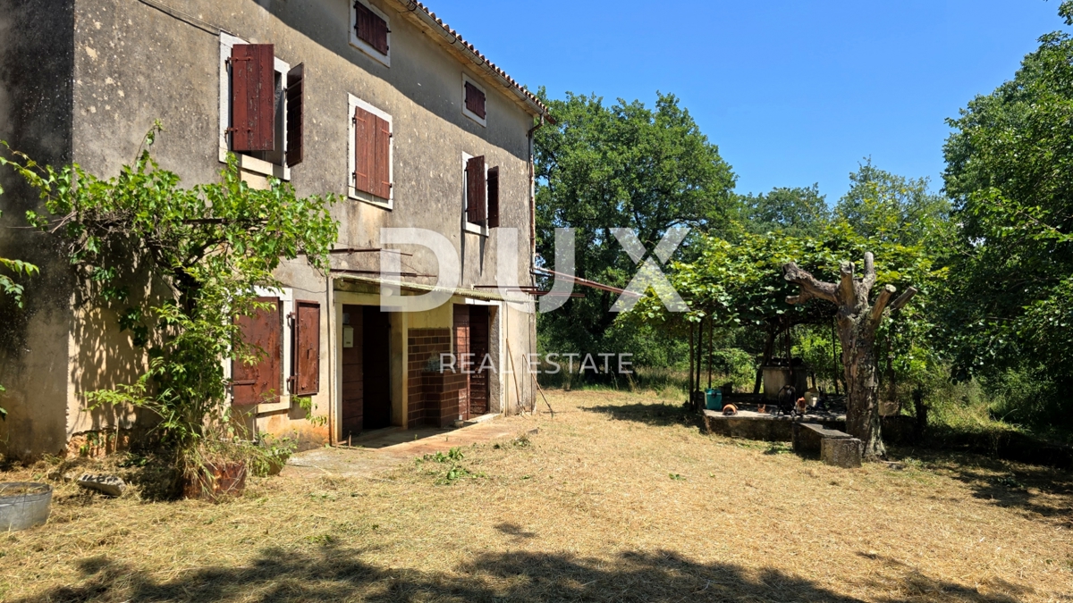 ISTRA, VIŽINADA - Prostorno avtentično posestvo