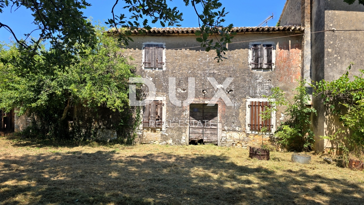 ISTRA, VIŽINADA - Prostorno avtentično posestvo