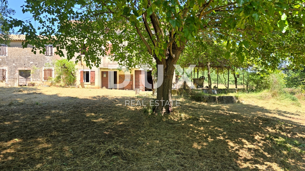 ISTRA, VIŽINADA - Prostorno avtentično posestvo