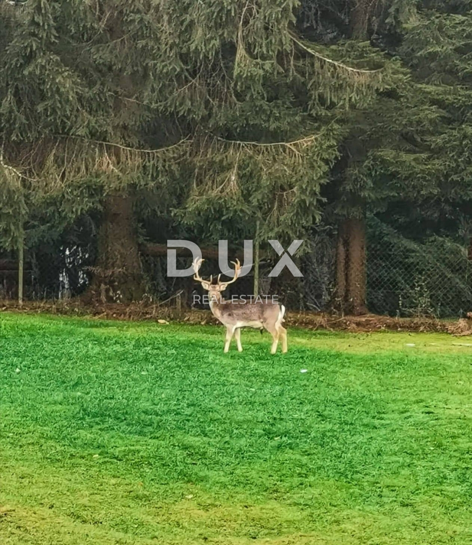 Hotel Jasenak, Ogulin, 300m2