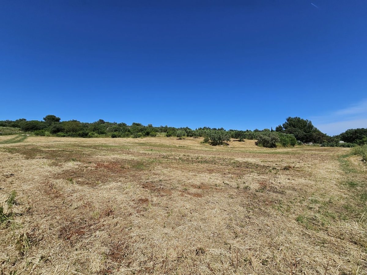 ISTRA, POMER - Urejeno gradbeno zemljišče s pogledom na morje, idealno za gradnjo vile/hiše/družinske hiše