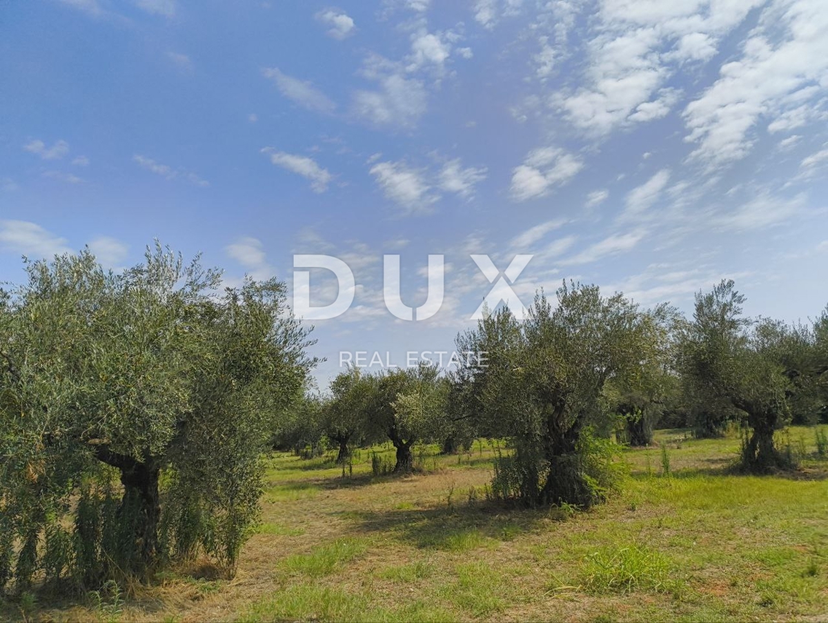 Zemljišče Labinci, Kaštelir-Labinci, 32.150m2