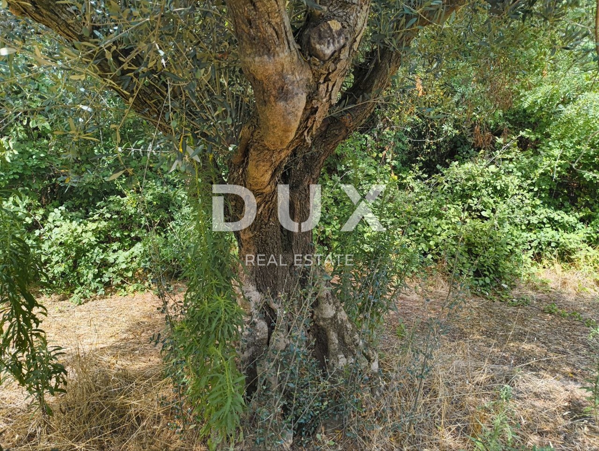 Zemljišče Labinci, Kaštelir-Labinci, 32.150m2