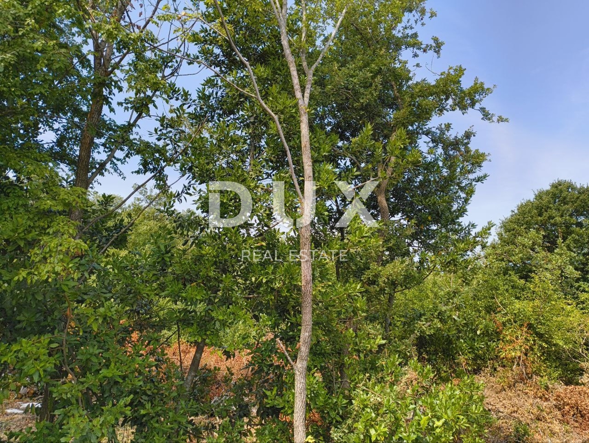 Zemljišče Labinci, Kaštelir-Labinci, 32.150m2