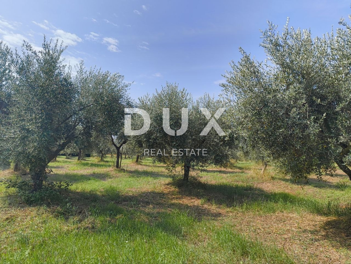 Zemljišče Labinci, Kaštelir-Labinci, 32.150m2