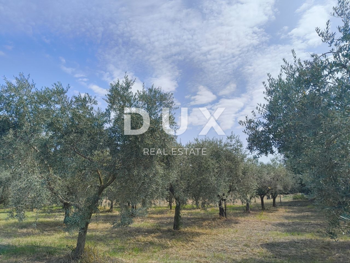 Zemljišče Labinci, Kaštelir-Labinci, 32.150m2