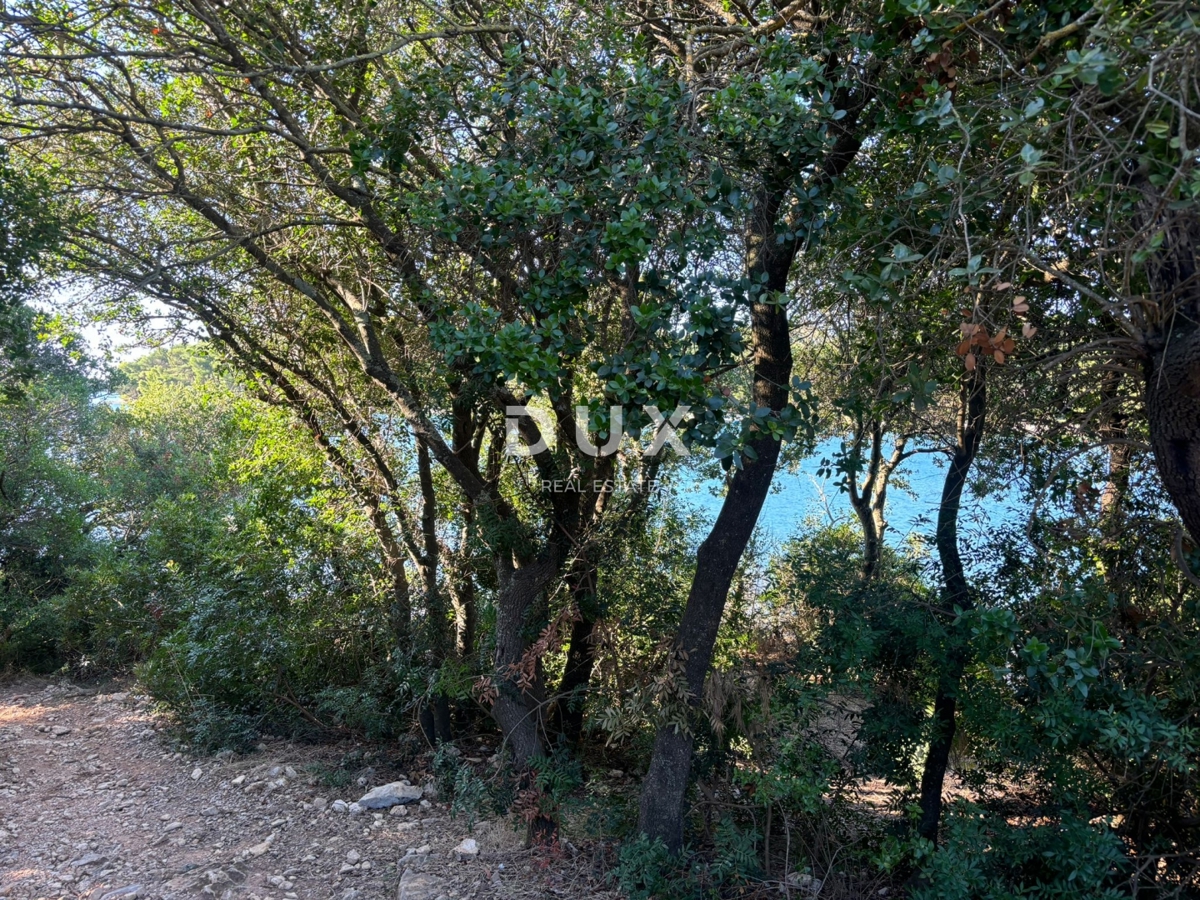 ISTRA, PULA - Hiša ob morju! 