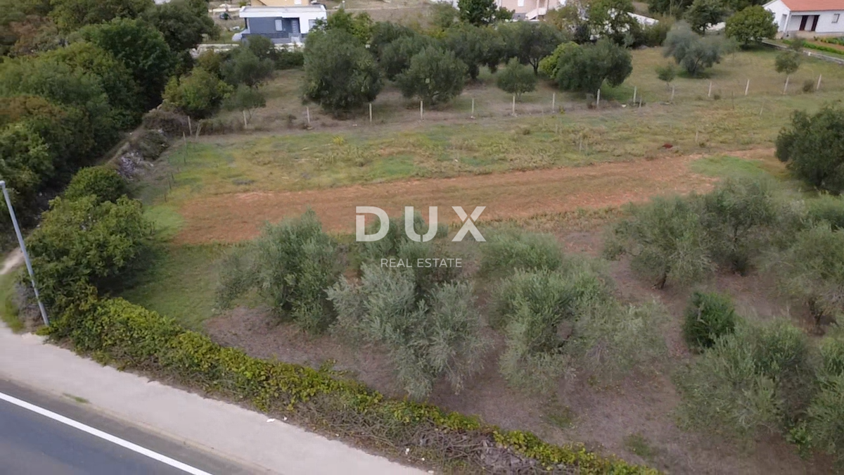 ZADAR, POLIČNIK – Zazidljivo zemljišče 2.166 m², Odlična lokacija