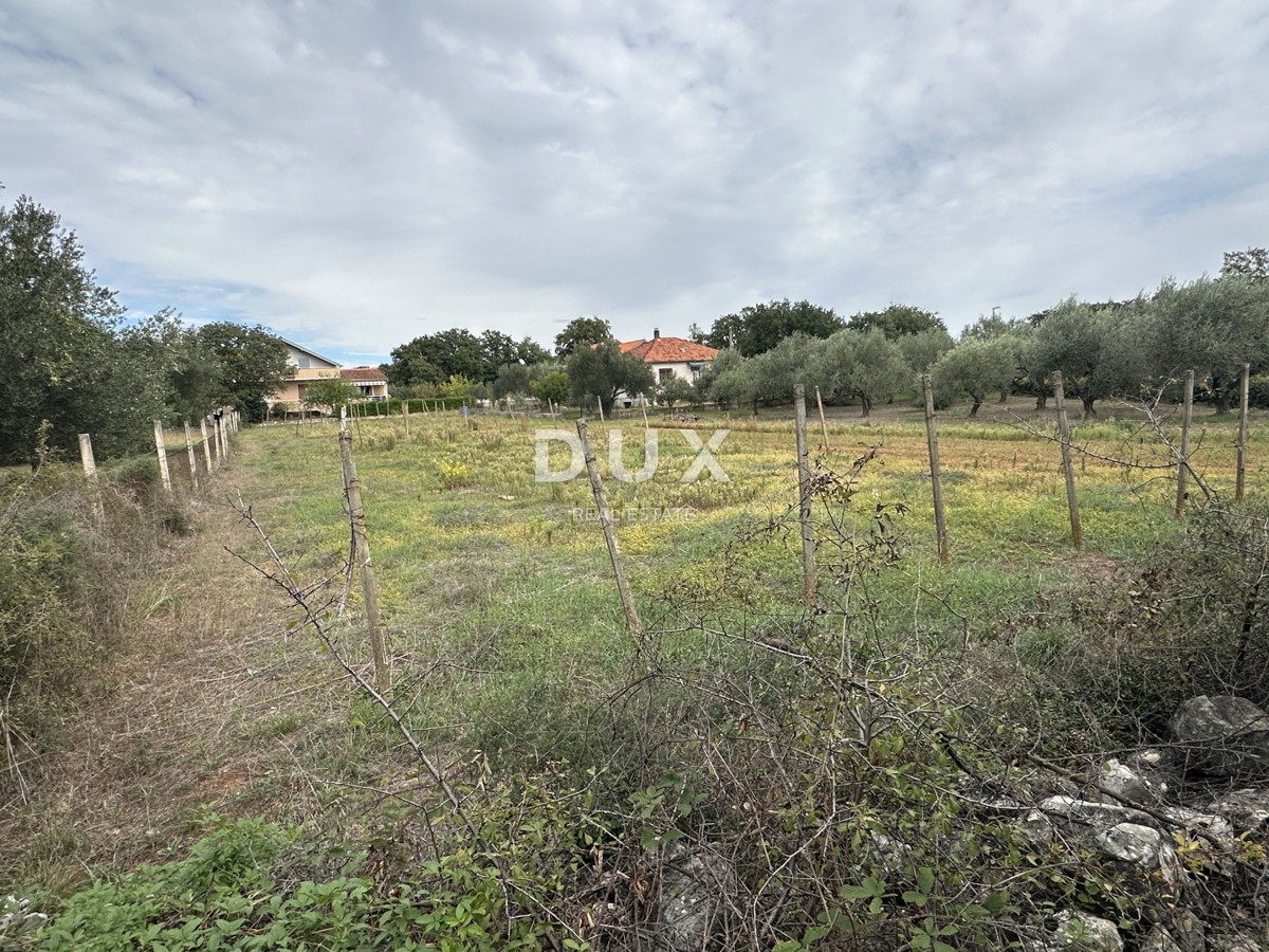 ZADAR, POLIČNIK – Zazidljivo zemljišče 2.166 m², Odlična lokacija