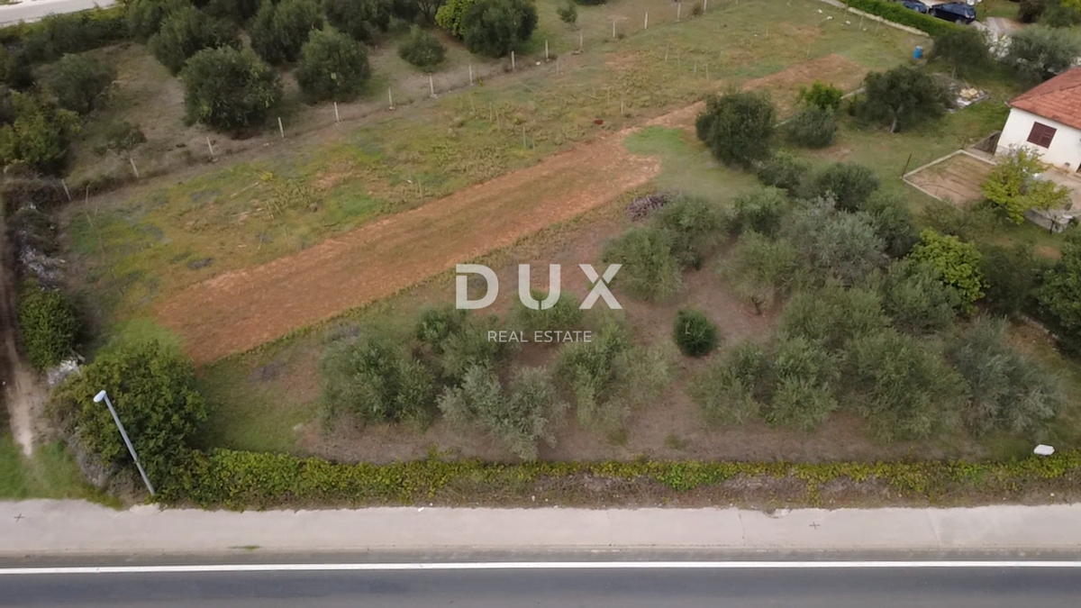 ZADAR, POLIČNIK – Zazidljivo zemljišče 2.166 m², Odlična lokacija