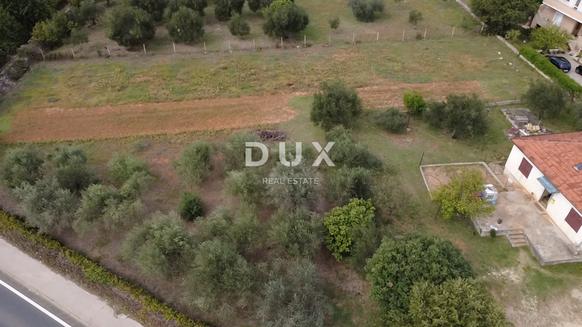 ZADAR, POLIČNIK – Zazidljivo zemljišče 2.166 m², Odlična lokacija