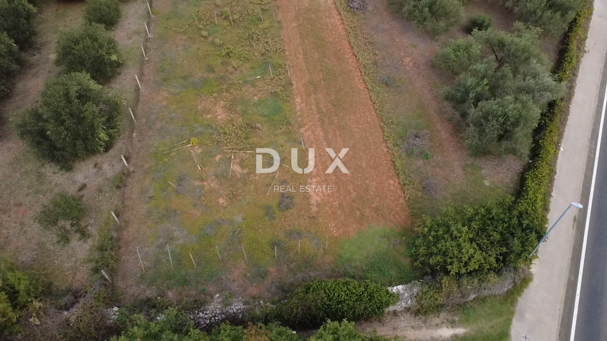 ZADAR, POLIČNIK – Zazidljivo zemljišče 2.166 m², Odlična lokacija