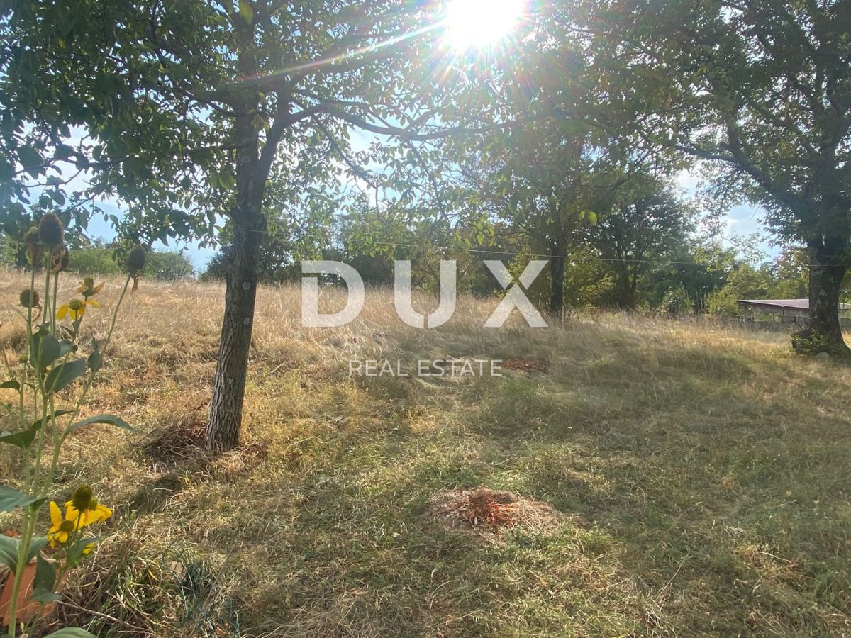 RIJEKA, ČAVLE - samostojna hiša + 4.000 m2 GRADBENEGA ZEMLJIŠČA! PRILOŽNOST!