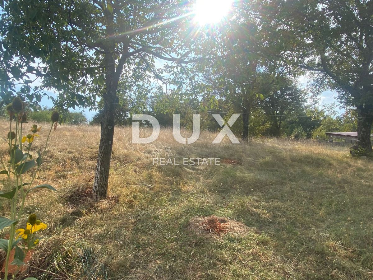 RIJEKA, ČAVLE - samostojna hiša + 4.000 m2 GRADBENEGA ZEMLJIŠČA! PRILOŽNOST!