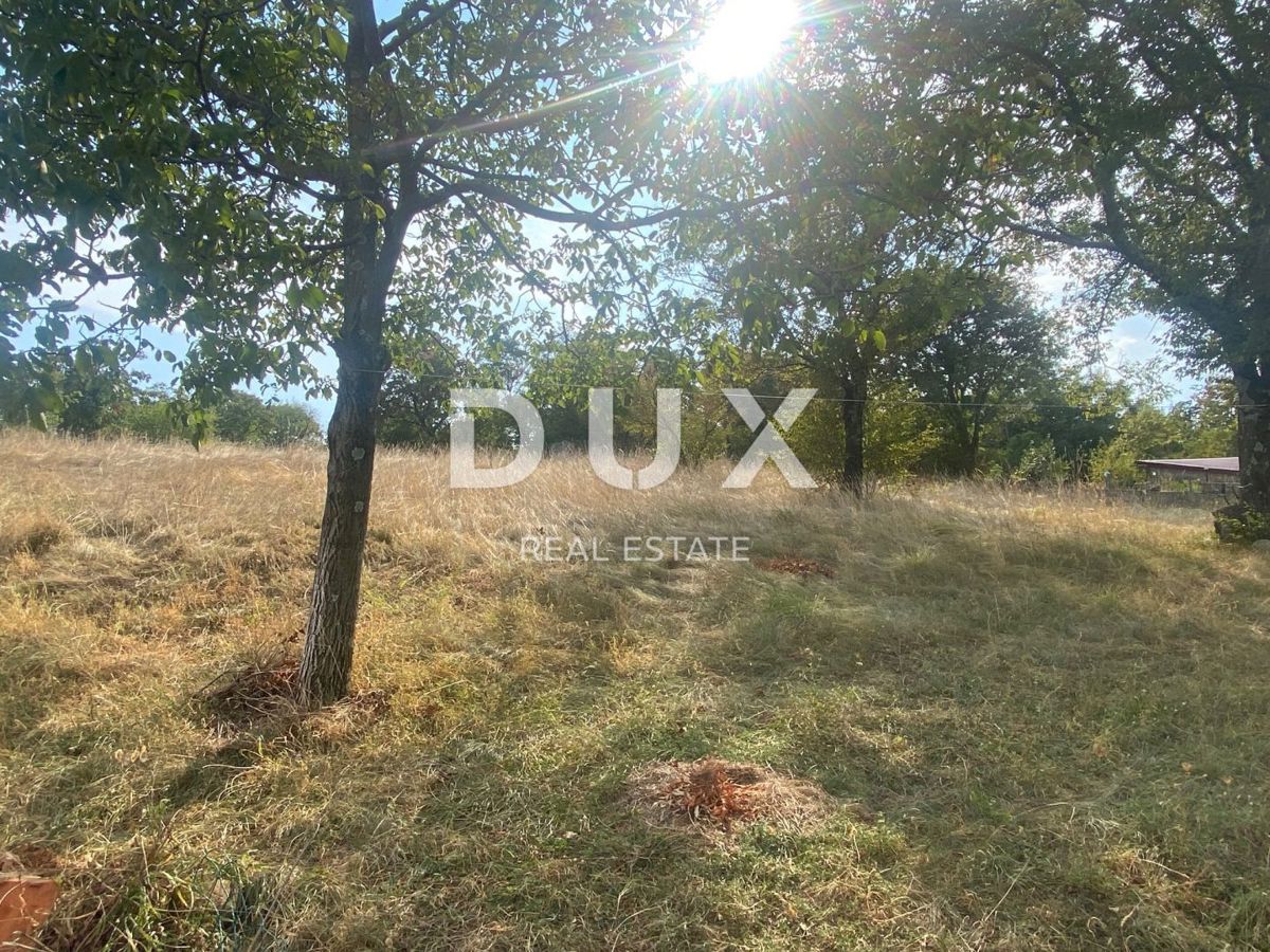 RIJEKA, ČAVLE - samostojna hiša + 4.000 m2 GRADBENEGA ZEMLJIŠČA! PRILOŽNOST!