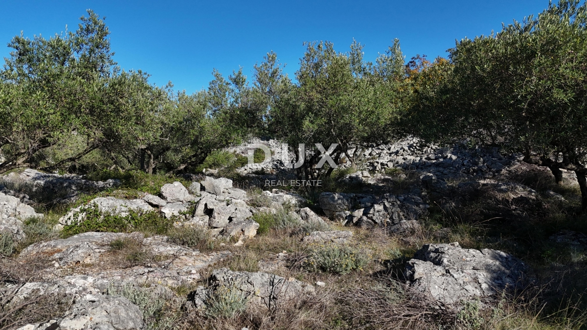 Zemljišče Krk, 8.011m2