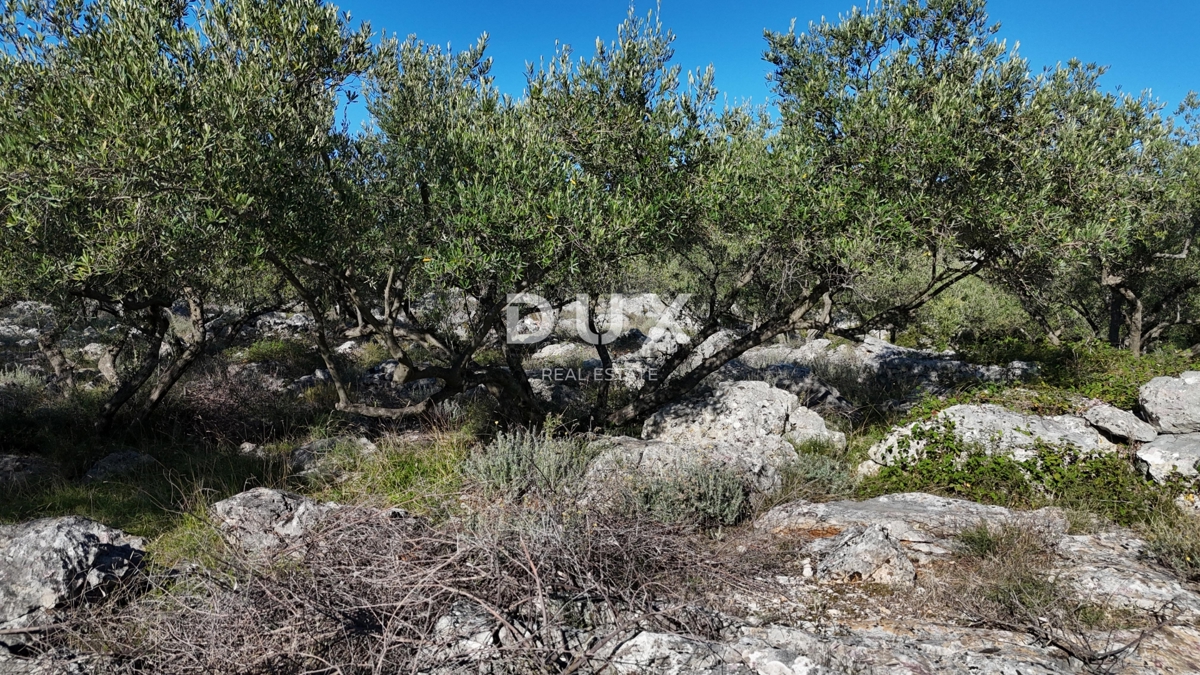 Zemljišče Krk, 8.011m2