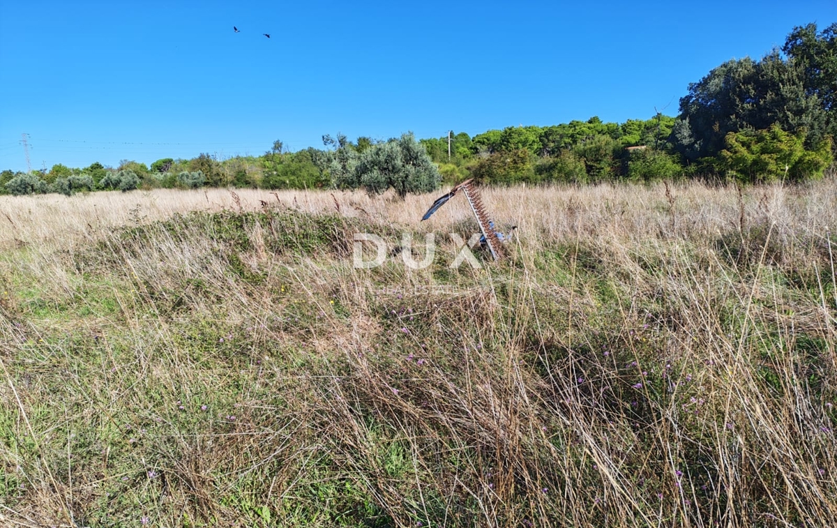 ISTRA, POMER - Kmetijsko zemljišče z legaliziranim objektom velikosti 30 m2!
