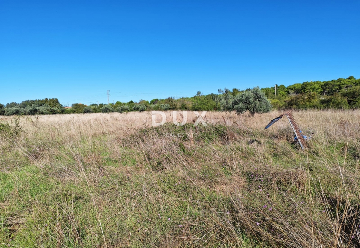 ISTRA, POMER - Kmetijsko zemljišče z legaliziranim objektom velikosti 30 m2!