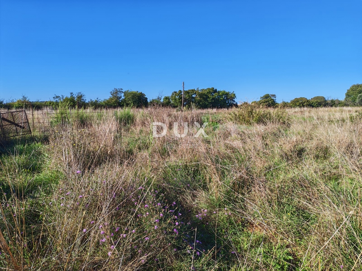 ISTRA, POMER - Kmetijsko zemljišče z legaliziranim objektom velikosti 30 m2!