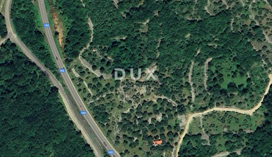 OTOK KRK, MESTO KRK - Maslinik