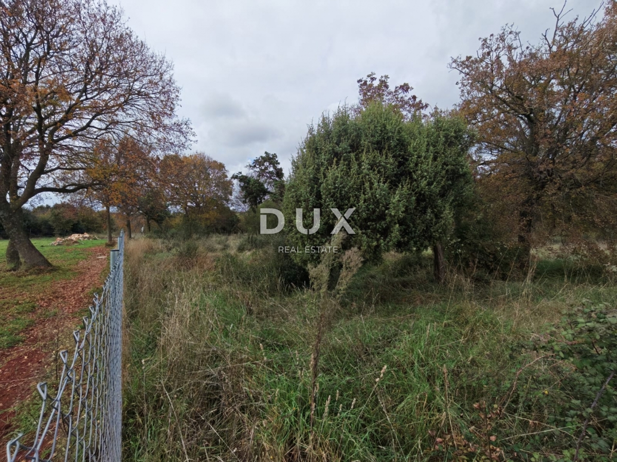 ISTRA, PULA - Prostorno kmetijsko zemljišče 11420m2!