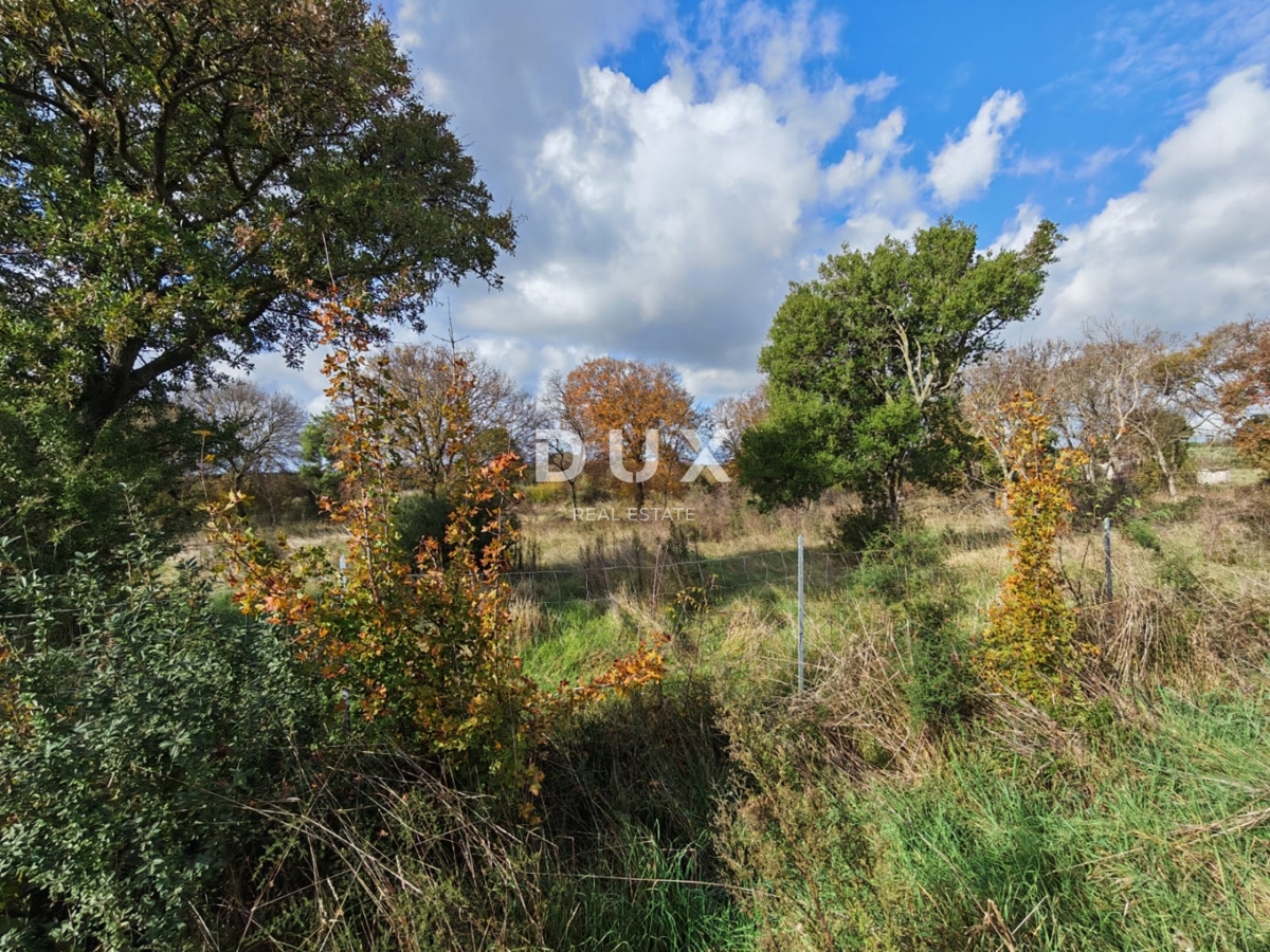 ISTRA, PULA - Prostorno kmetijsko zemljišče 11420m2!