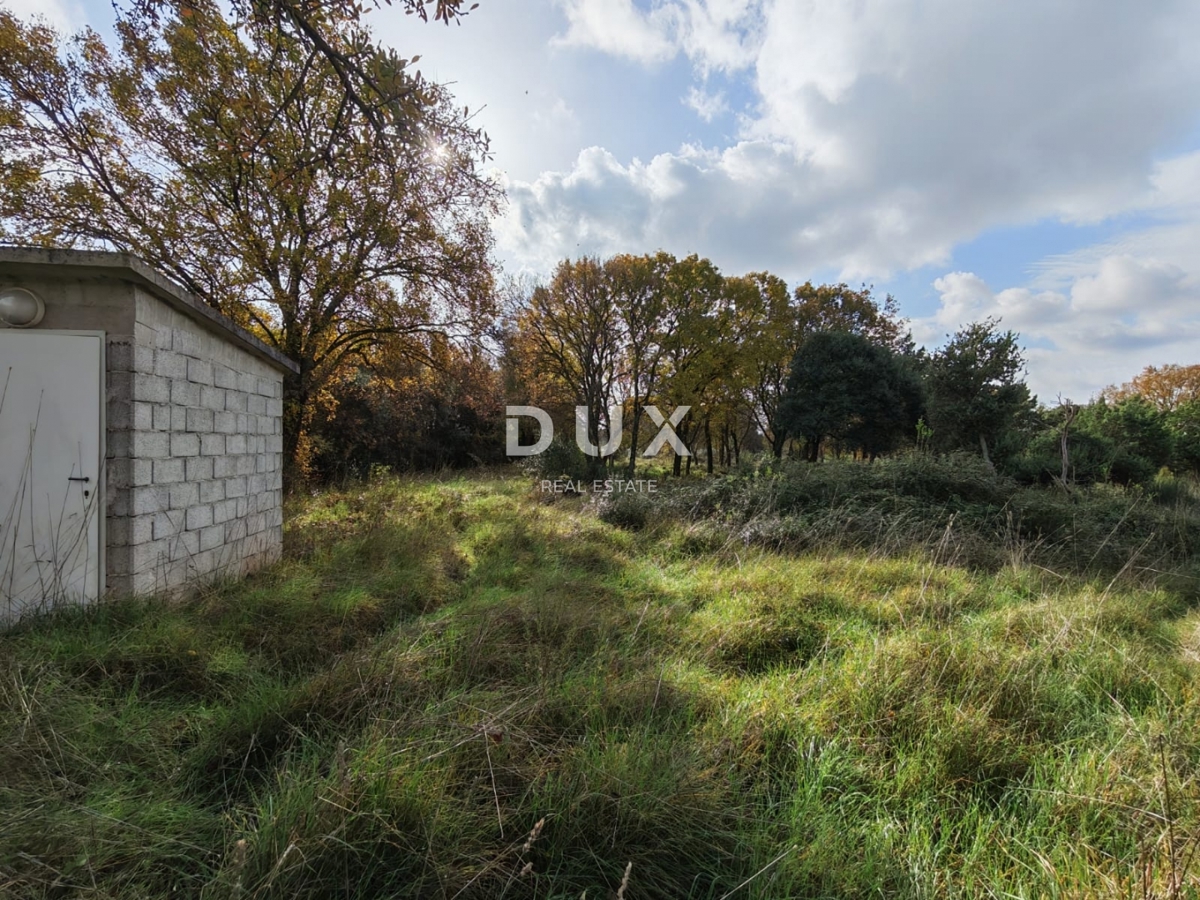 ISTRA, PULA - Prostorno kmetijsko zemljišče 11420m2!