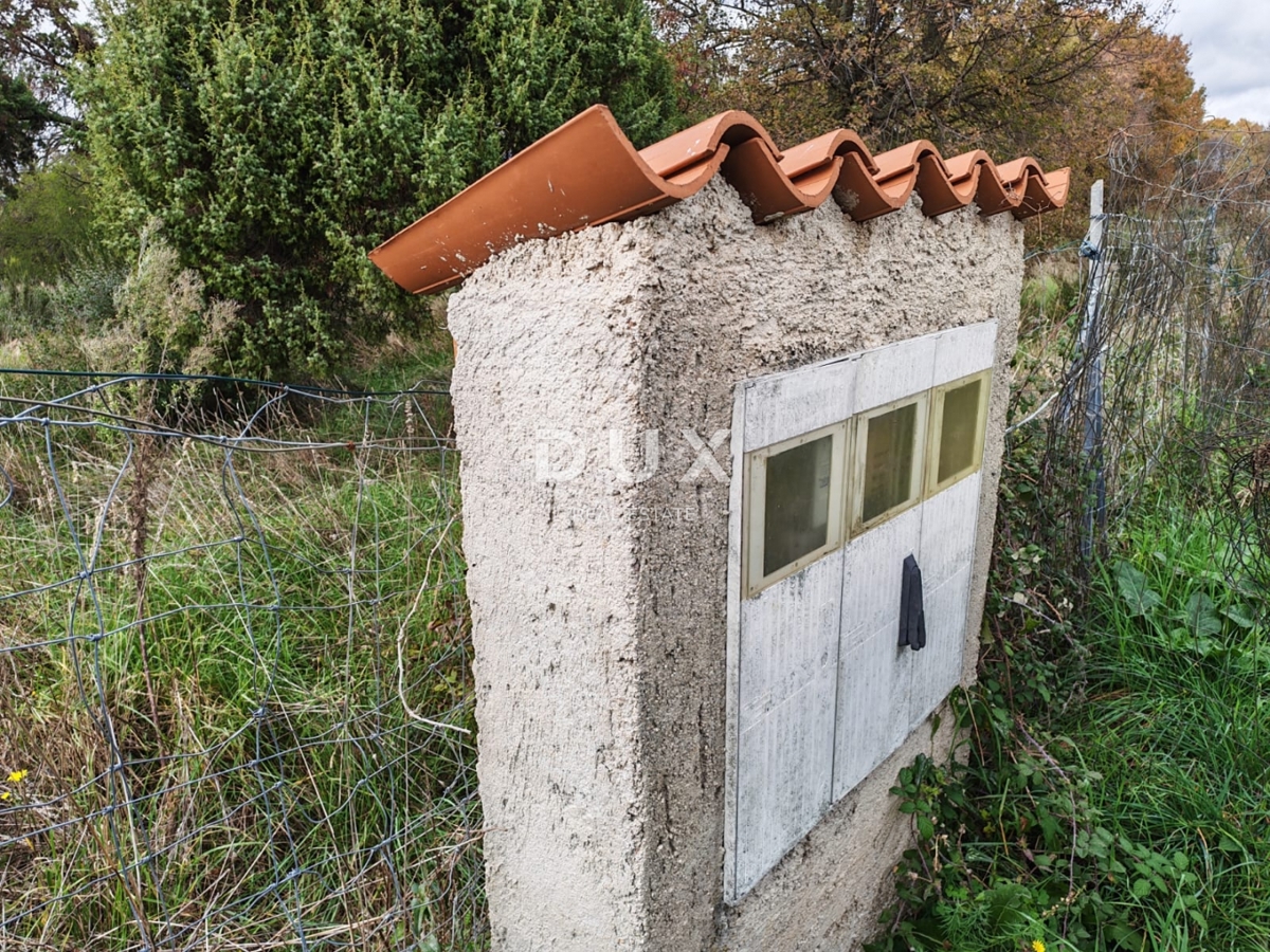 ISTRA, PULA - Prostorno kmetijsko zemljišče 11420m2!